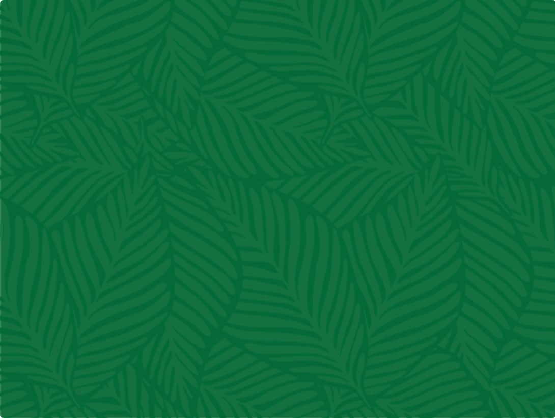 textura textura