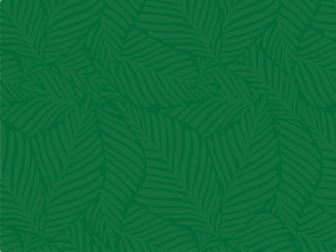 textura textura